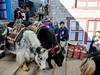 Dopravní špička v Namche Bazaar